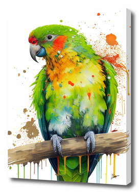 Aratinga Solstice Parrot Watercolor Art Print