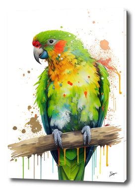 Aratinga Solstice Parrot Watercolor Art Print