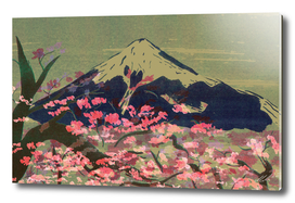 Mt.Fuji, Blossom Festival.