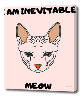 Cat - I am inevitable