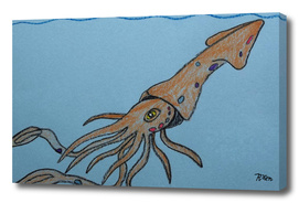 Jeweled Squid