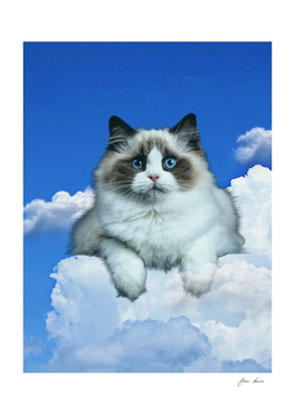 cat cloud