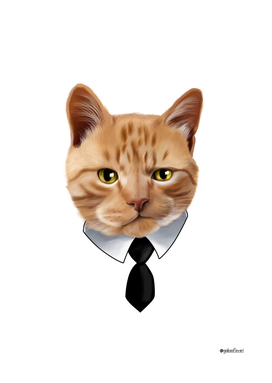 gato_negocios