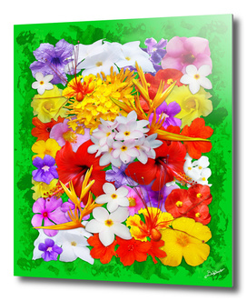 Exotic Flowers Colorful Explosion