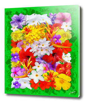 Exotic Flowers Colorful Explosion