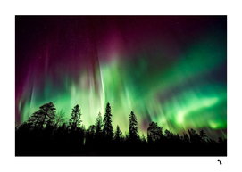 Aurora borealis northern lights nature