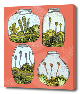 Little Jar of Moss
