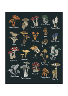 Mushrooms Chart