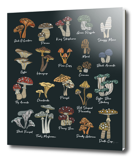Mushrooms Chart