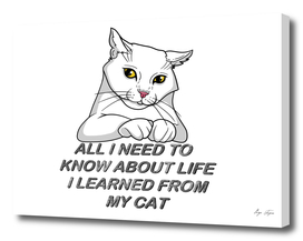 All i need to know about life i learned from my cat