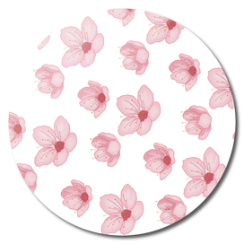 Sakura flowers pattern