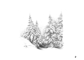 Winter Trees II