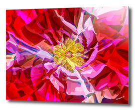 Abstract Flower
