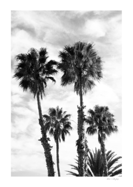 Palm Trees Black White #2 #wall #art