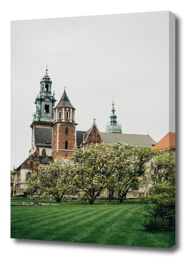 Wawel in Spring