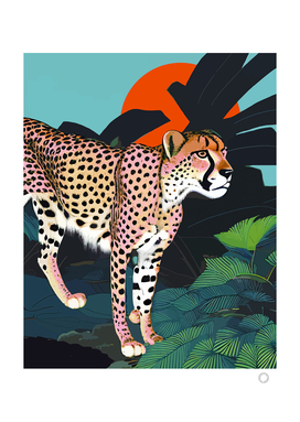 The Cheetah, Tropical Jungle Animals, Mystery Wild Cat