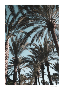 Palm Tree Jungle #1 #tropical #wall #decor #art