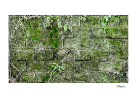 Old stone exterior wall with moss