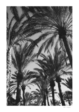 Palm Tree Jungle #2 #tropical #wall #decor #art