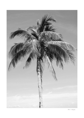 Palm Tree Beach Dream #3 #wall #art
