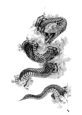 Black and gray snake animal vertebrate monochrome