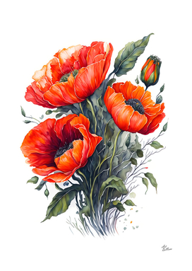 Bouquet of Poppies
