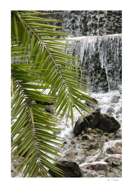 Palms meet Waterfall #1 #wall #decor #art