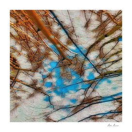 abstract trees (1)
