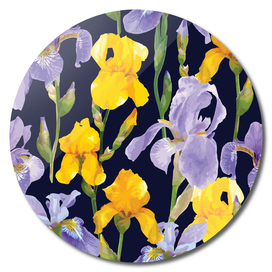Delicate Iris Flowers