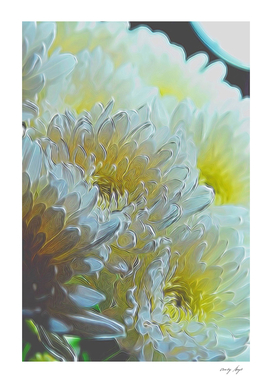 Chrysanthemums in White Light