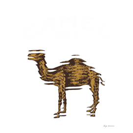 camel mirage