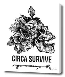 Circa Survive
