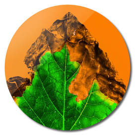 close up burning green leaf texture with orange background