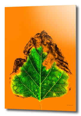 burning green leaf texture with orange background
