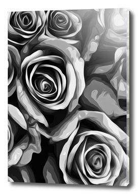 closeup rose in black and white