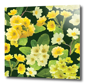 Charming Blooming Primrose