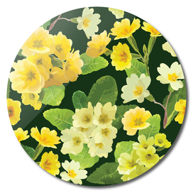 Charming Blooming Primrose