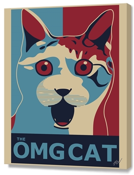 Maicon MCN - The OMG Cat - Ob Poster
