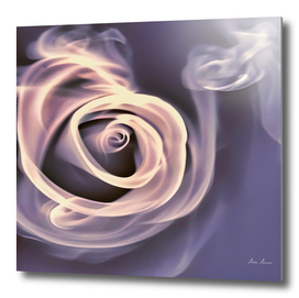 ruža u dimu (1)