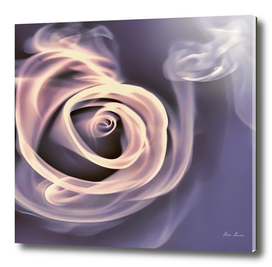 ruža u dimu (1)