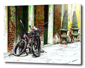 Two Bicycles In the Alley