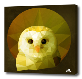 Polygon Owl