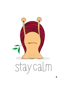 snail stay calm