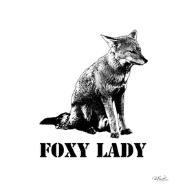Foxy lady concept illustration