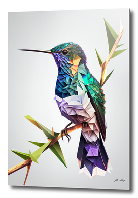 Colorful Kolibri - Low Poly