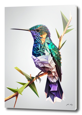 Colorful Kolibri - Low Poly