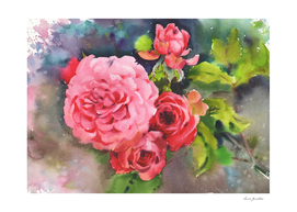 ART-173-Beautiful flowers. Watercolor