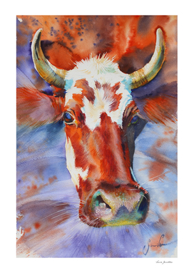 Cow. Watercolor