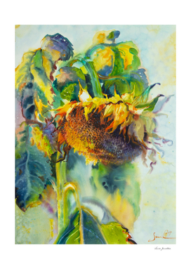 Sunflower Art. Sunny day sunflowers Art. Watercolor