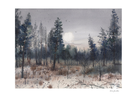 Forest landscape. Watercolor